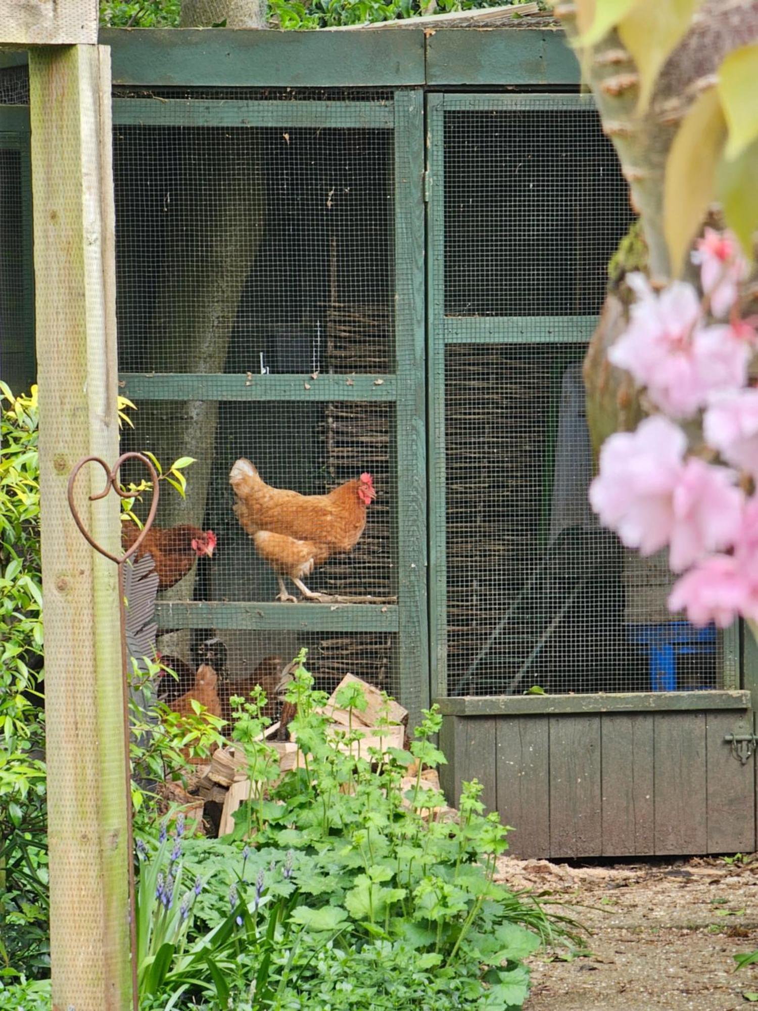 Luxury Self Catering With Cosy Cabin & Sauna In โคล์เชสเตอร์ ภายนอก รูปภาพ